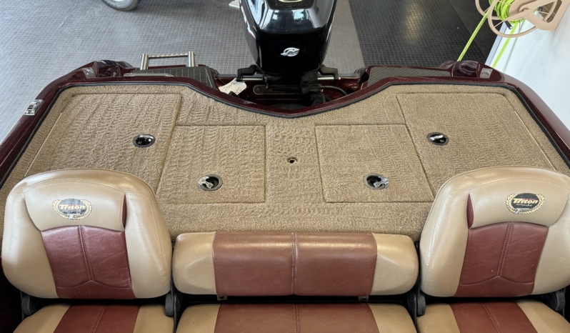 2009 TRITON 188-SF full