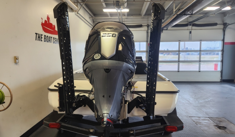 2025 SKEETER ZXR20 full