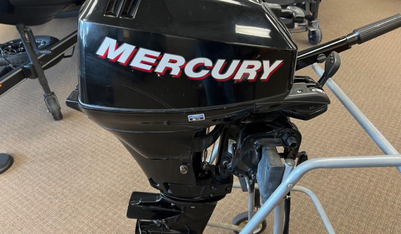 2007 MERCURY 15M full