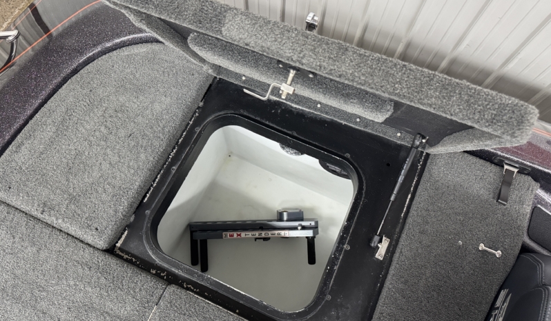2018 SKEETER ZX250 full
