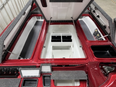 2025 PHOENIX 20 XE full