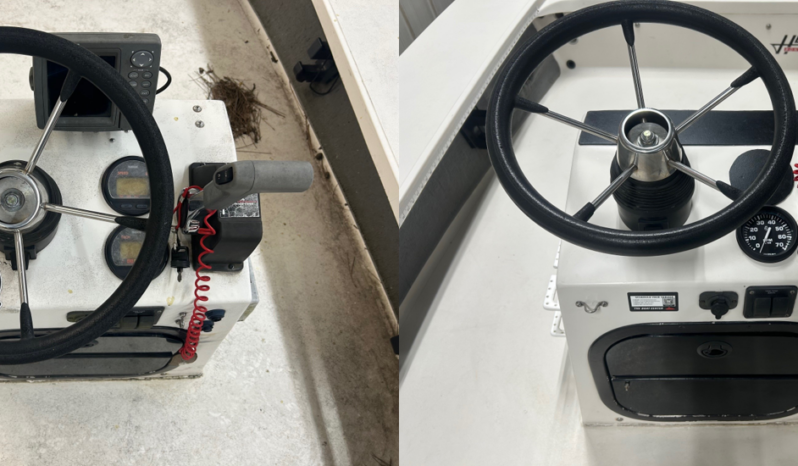 ADVANCED DETAIL HEWES full