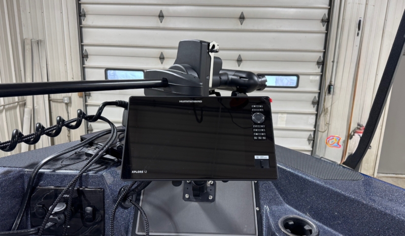 CUSTOM RIGGED WARRIOR full