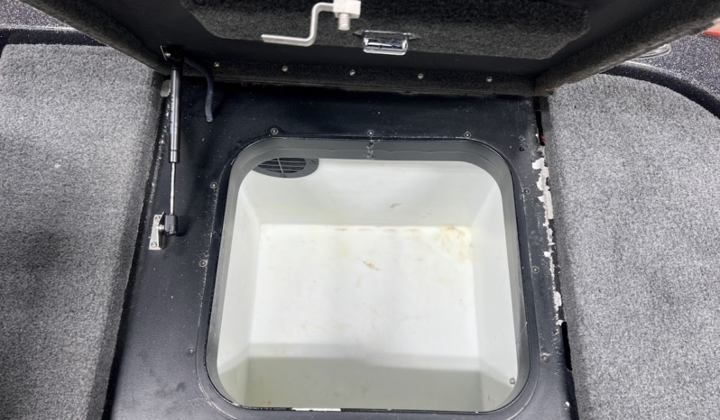 2019 SKEETER FX20 full