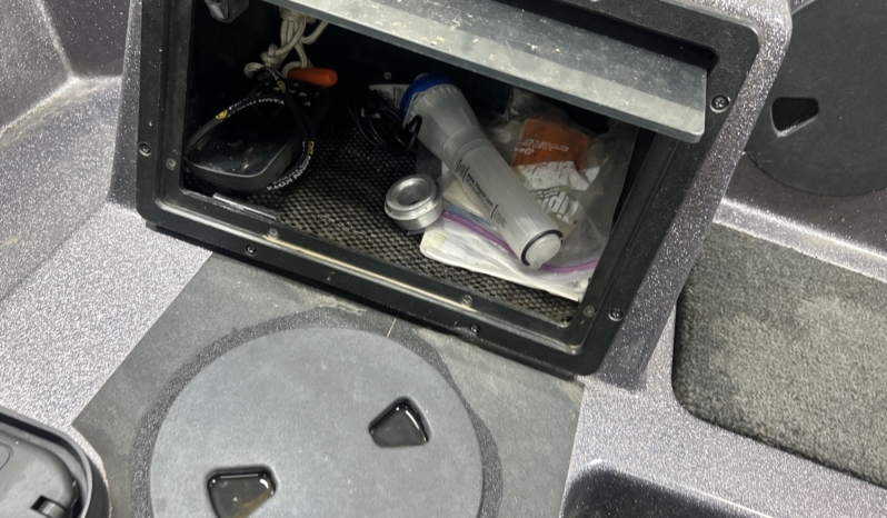 2010 SKEETER WX1790 full