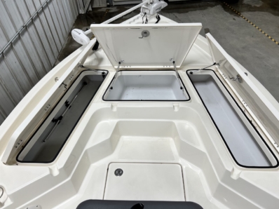 2019 SKEETER SX210 BAY full