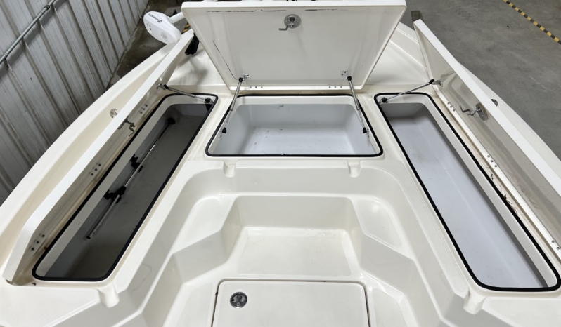 2019 SKEETER SX210 BAY full