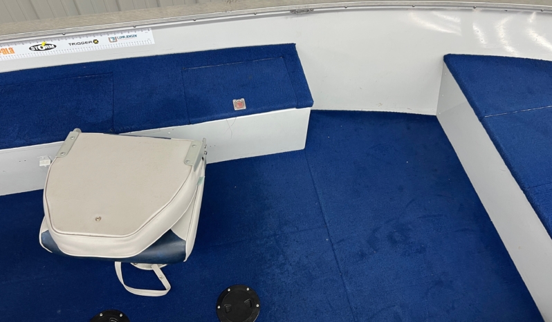1995 PRINCECRAFT 167 PRO full