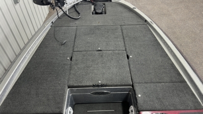 2009 SKEETER 20I full