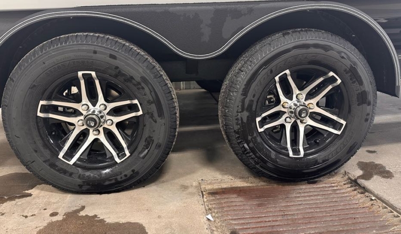 2025 SKEETER ZXR20 full