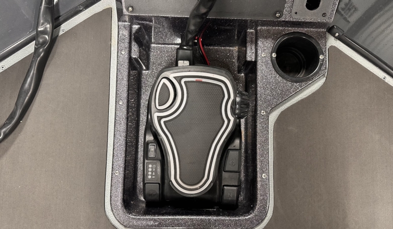 2021 RANGER RT198P full