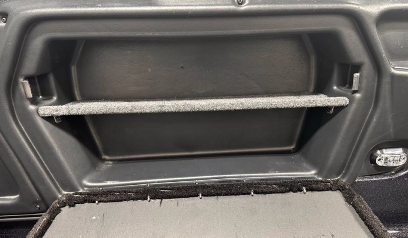 2025 SKEETER WX1910 full